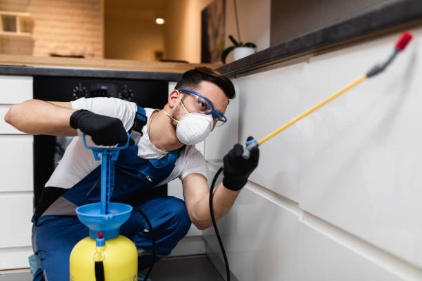 Best Cockroach Control Services  in Ivey, GA