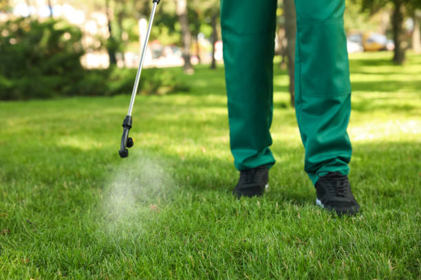 Best Affordable Pest Control Services  in Ivey, GA