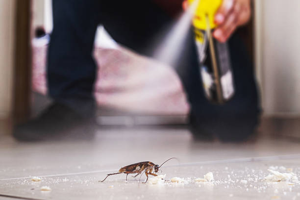 Professional Pest Control in Ivey, GA