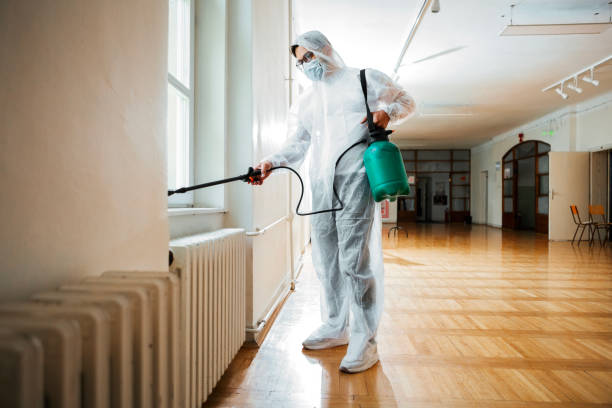 Best Flea Control Services  in Ivey, GA
