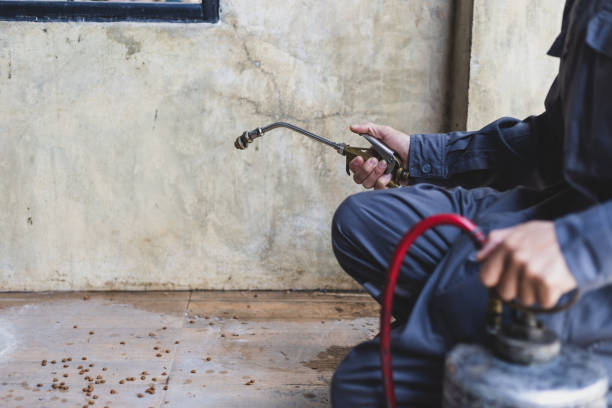 Best Wasp Removal Services  in Ivey, GA